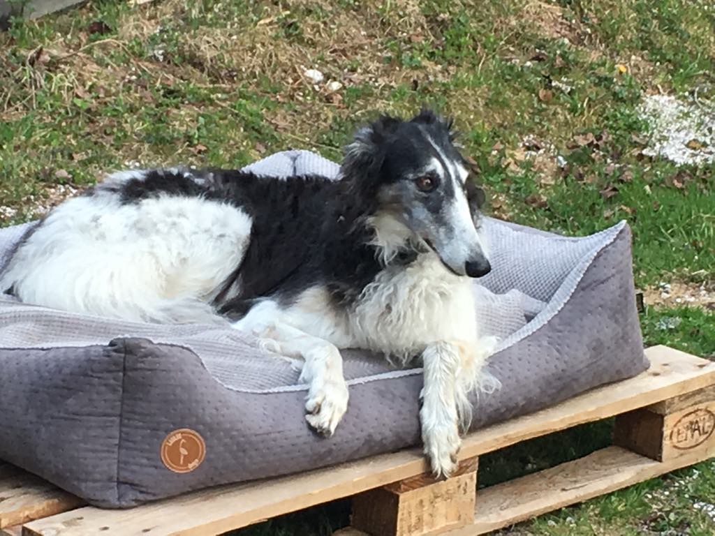 81325235 3371717692899863 4963868801213923328 o