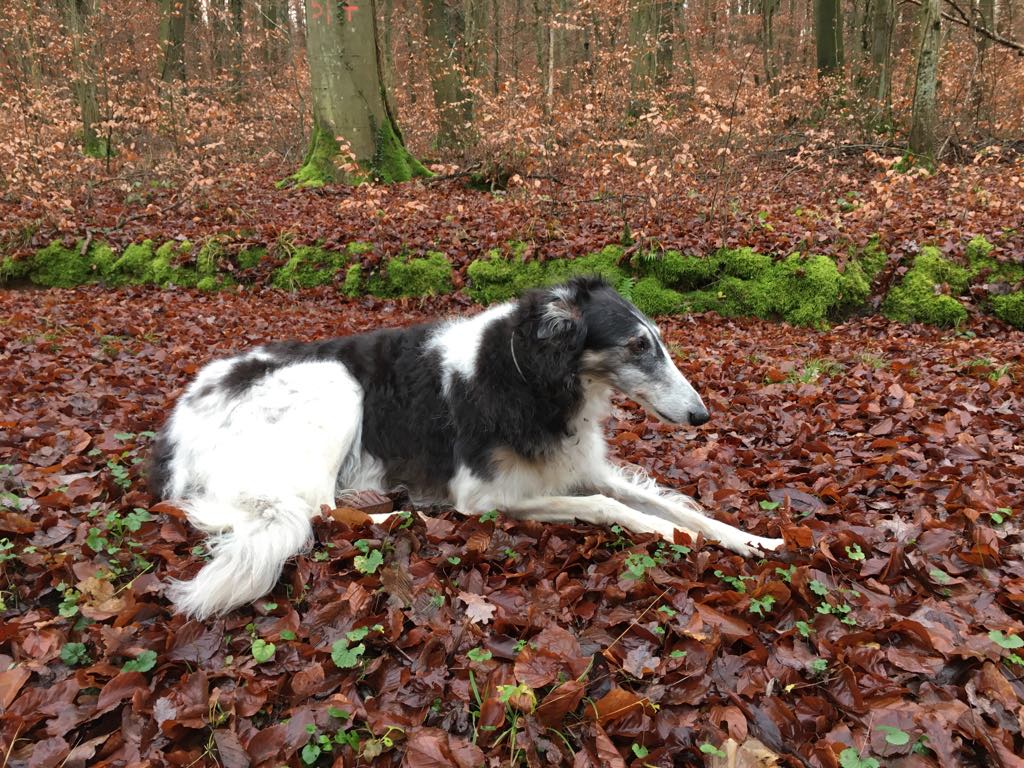 81410021 3371722819566017 4697008979736264704 o