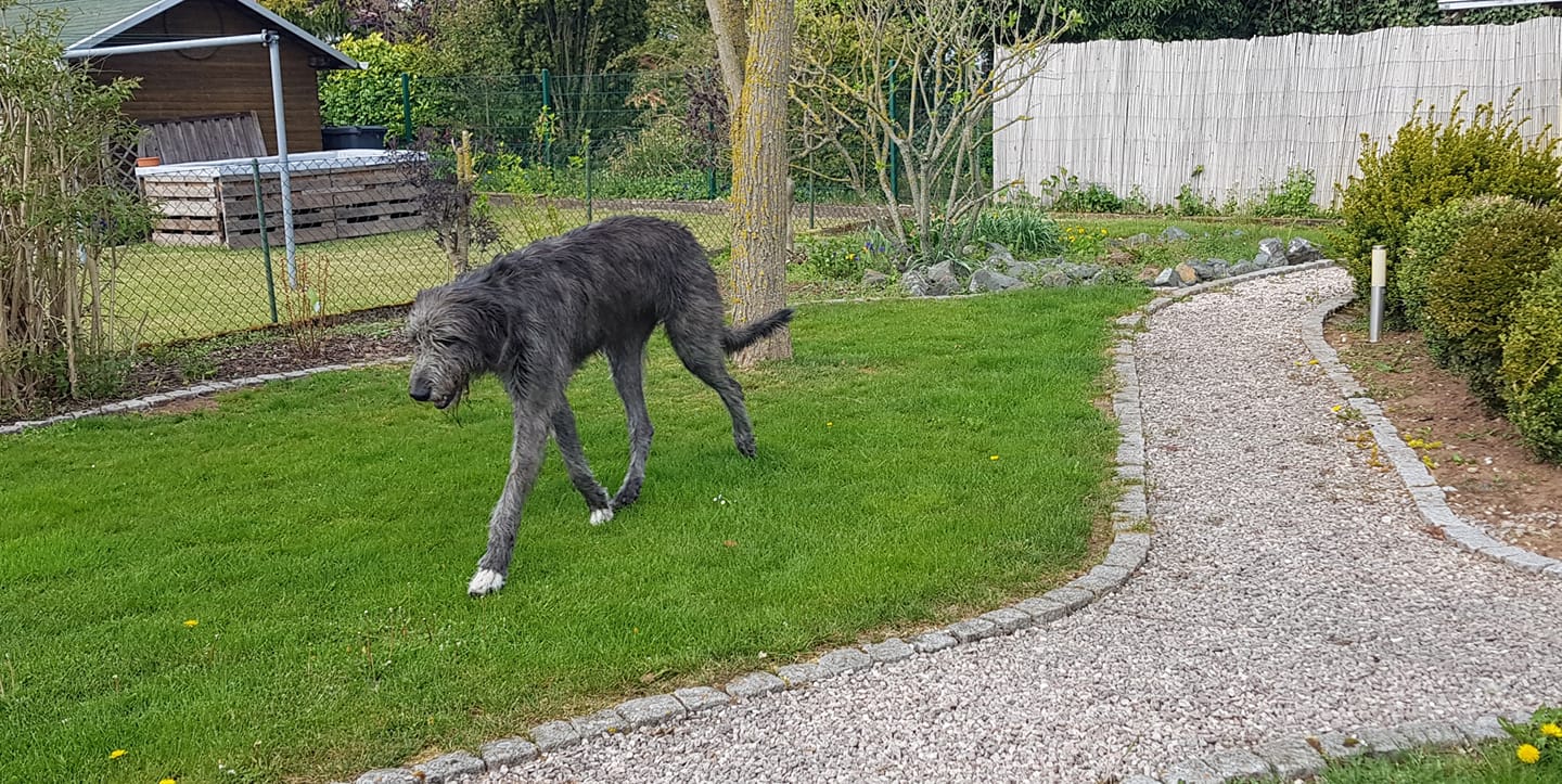 95487852 3448442351851384 1561349534129324032 o