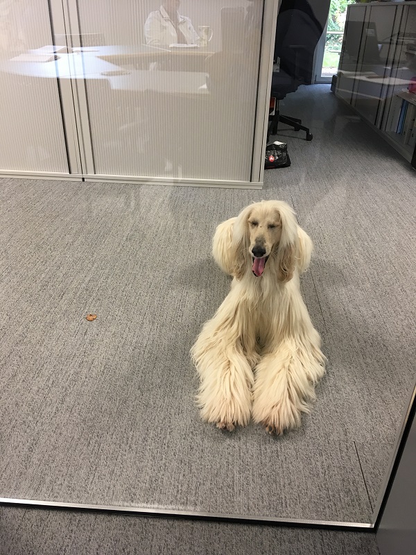 Mann ist das langweilig