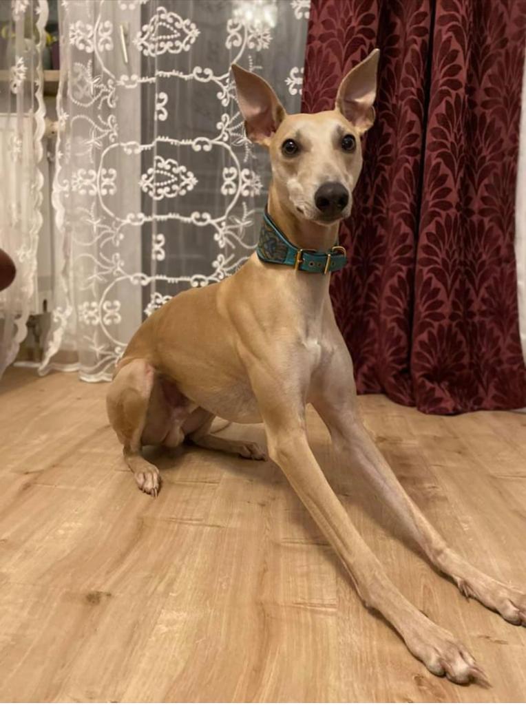 PHOTO 2021 11 18 13 18 34