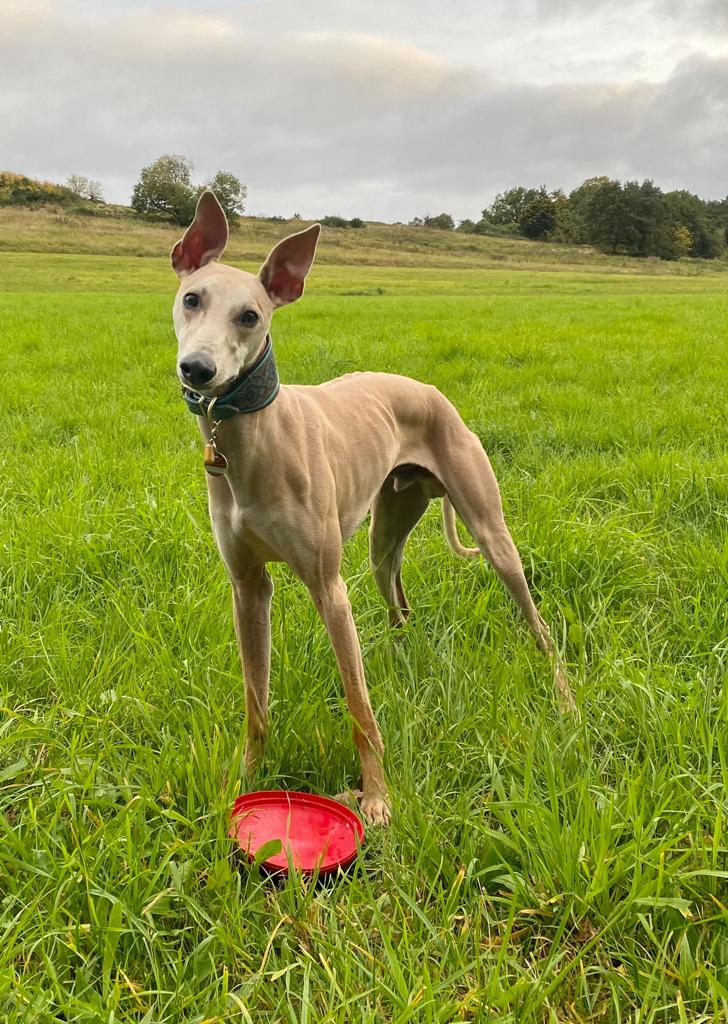 PHOTO 2021 11 18 13 19 30