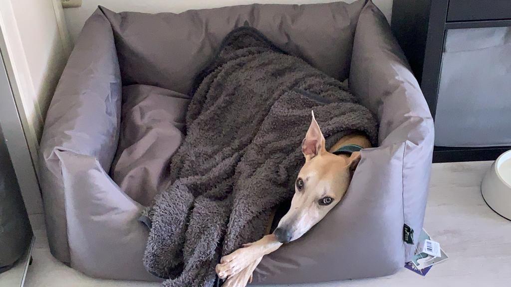 PHOTO 2021 11 18 13 19 54