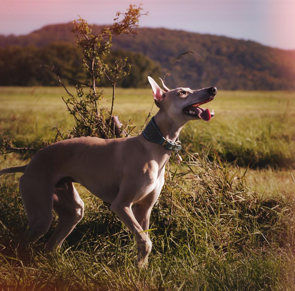 PHOTO 2021 11 18 13 20 45