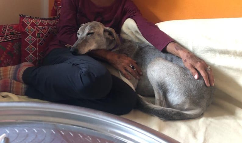 Sofia Sofa Geschnitten