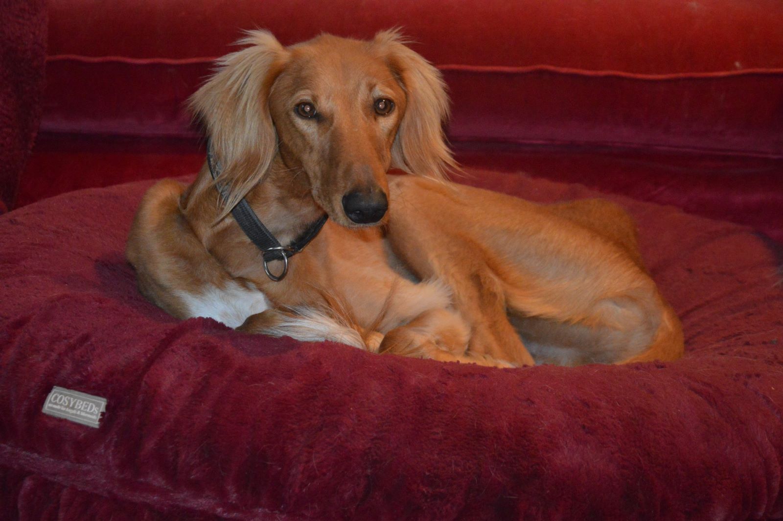 WhatsApp Bild 2023 02 03 um 18.56.21