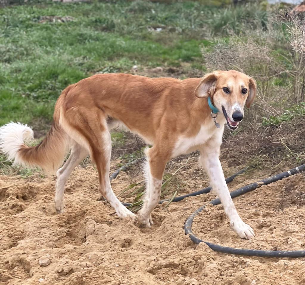 WhatsApp Bild 2023 07 14 um 13.26.231