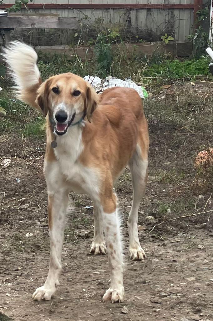 WhatsApp Bild 2023 07 14 um 13.26.232