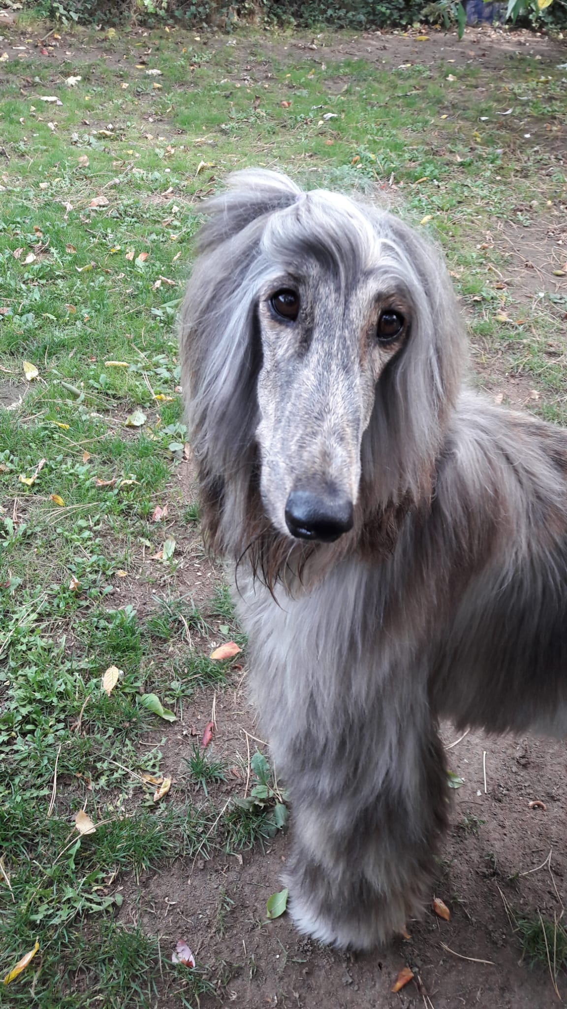 WhatsApp Bild 2023 09 06 um 15.51.11