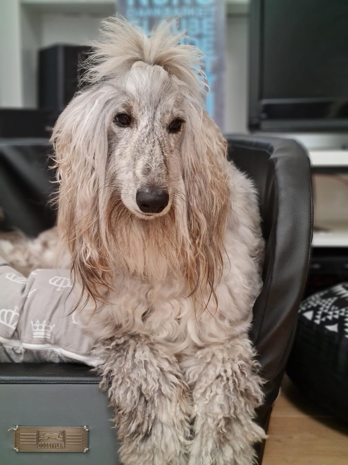 WhatsApp Bild 2024 10 06 um 18.24.13 05af2f6d