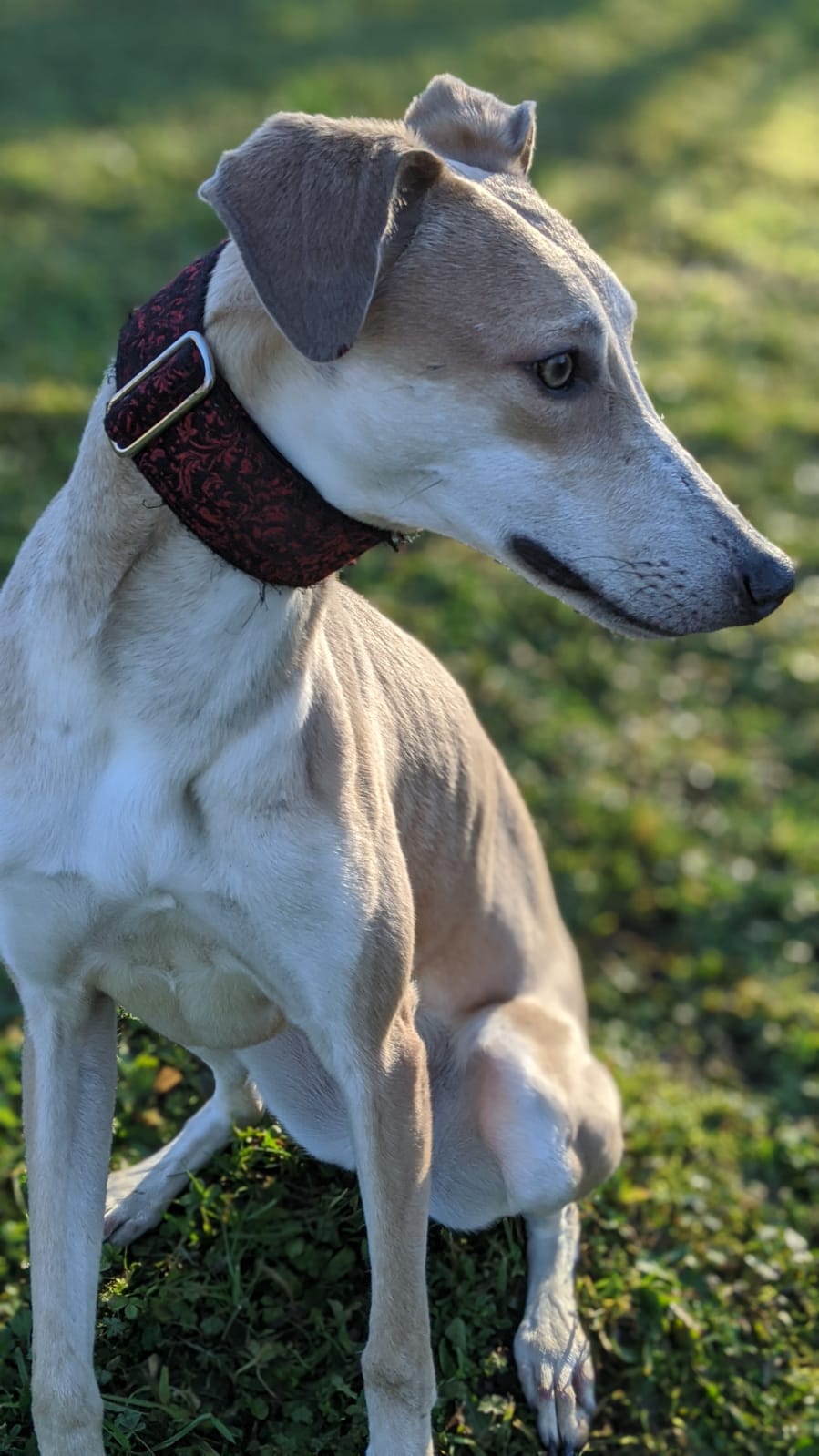 WhatsApp Image 2020 12 16 at 14.22.02