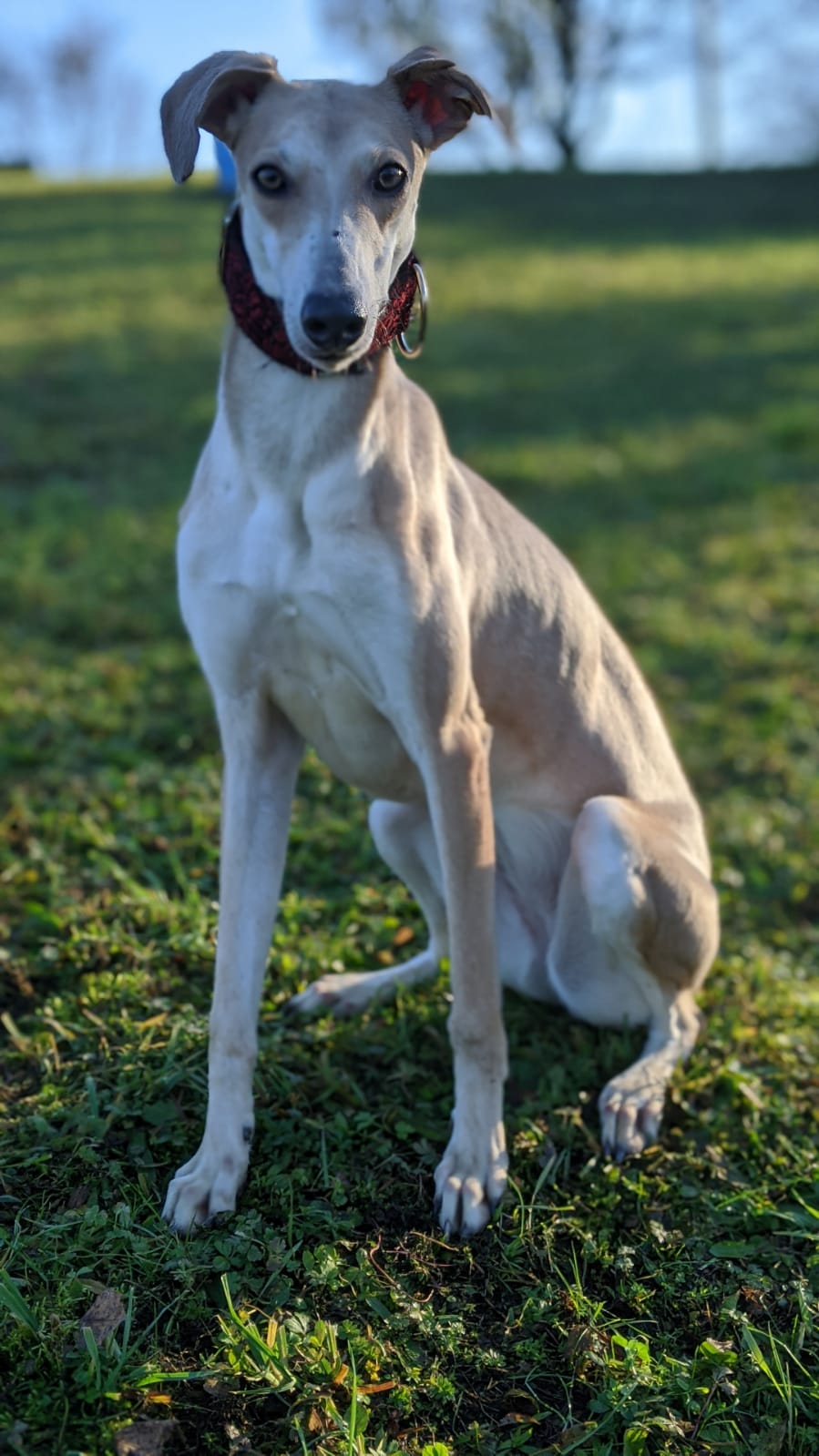 WhatsApp Image 2020 12 16 at 14.22.07