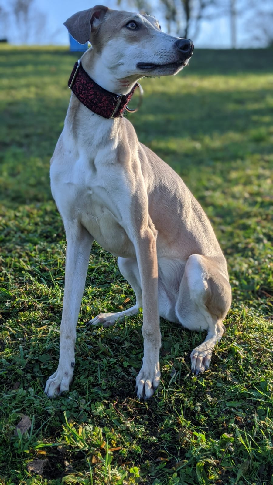 WhatsApp Image 2020 12 16 at 14.22.07 1