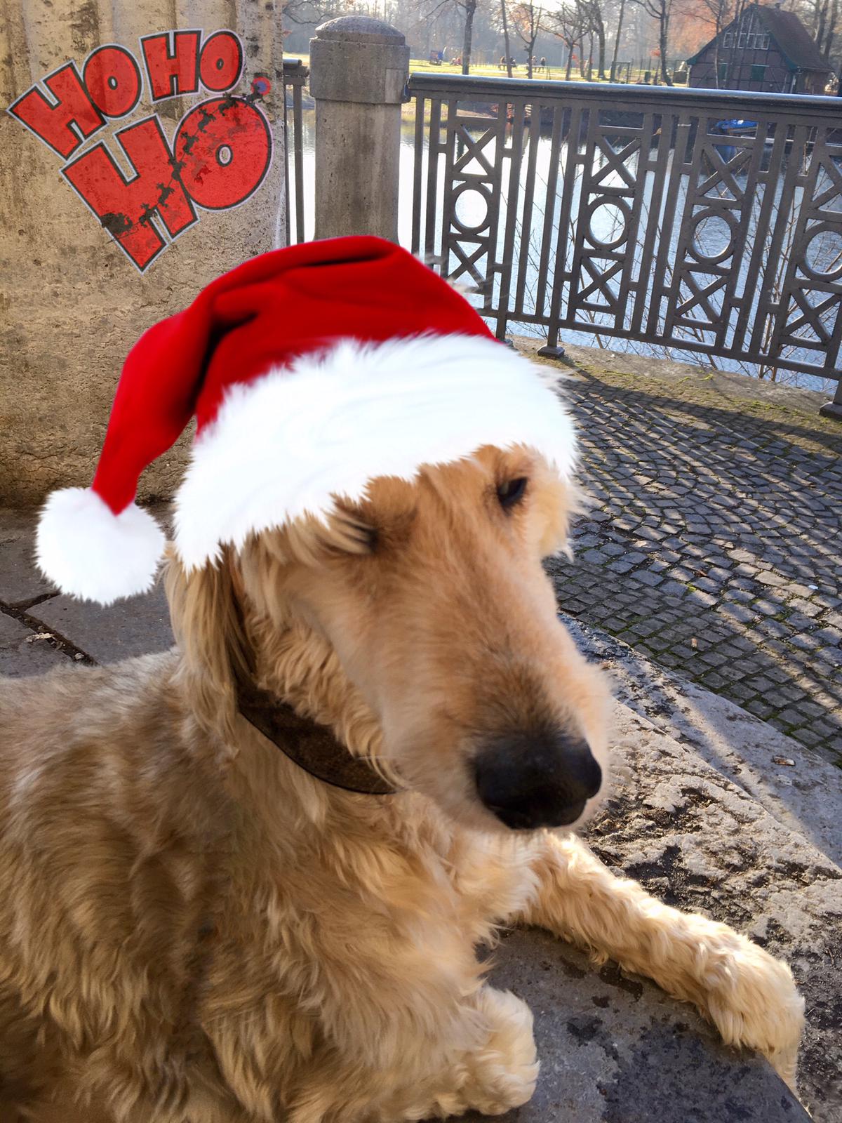 WhatsApp Image 2020 12 24 at 07.21.05