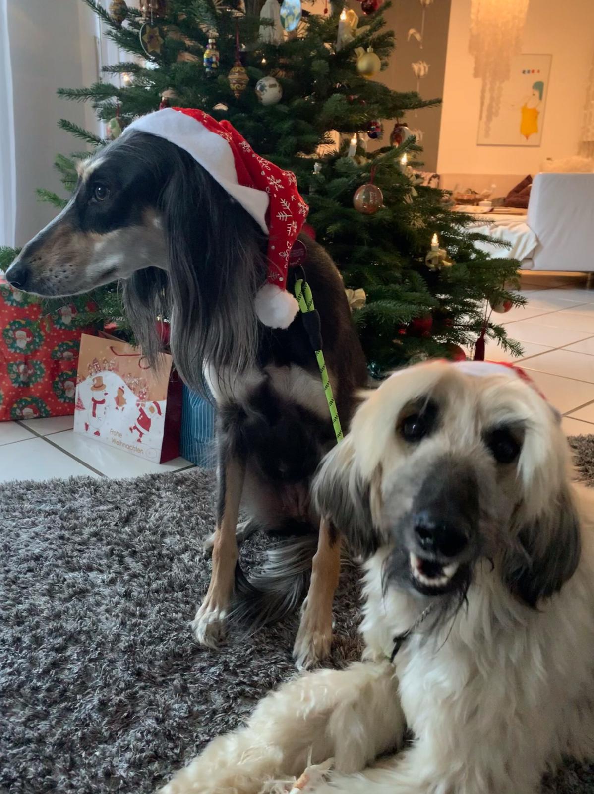 WhatsApp Image 2020 12 24 at 13.33.37