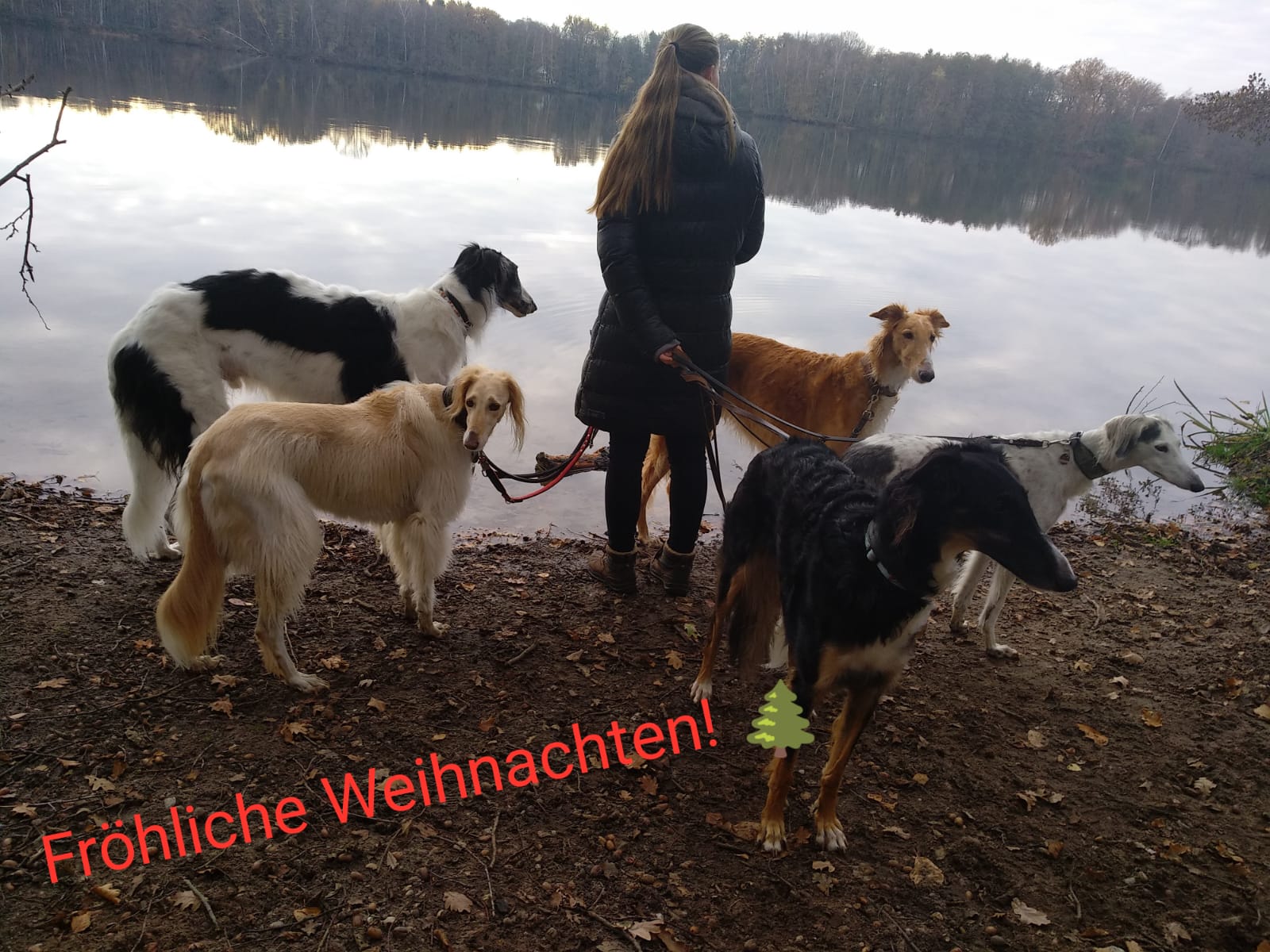 WhatsApp Image 2020 12 24 at 13.34.12