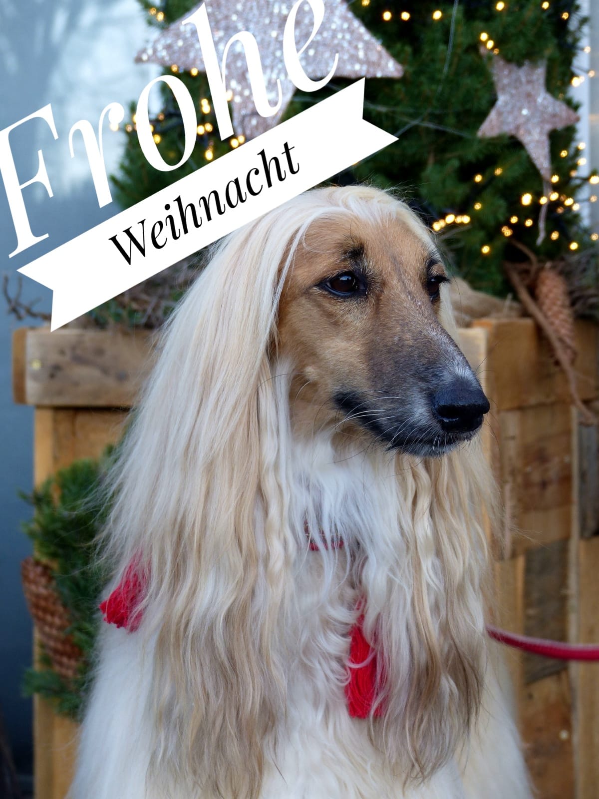 WhatsApp Image 2020 12 24 at 14.02.45