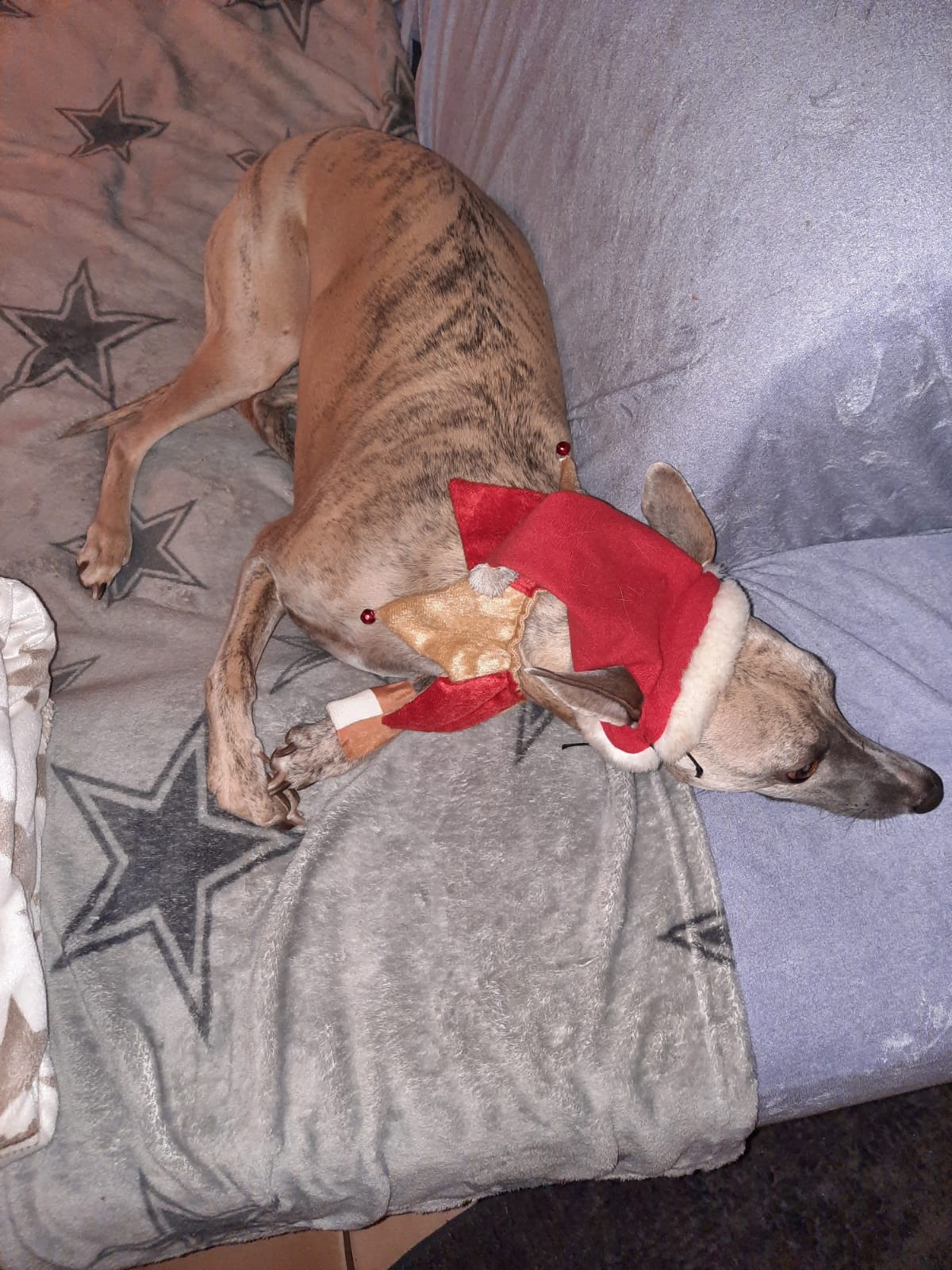 WhatsApp Image 2020 12 24 at 14.16.57