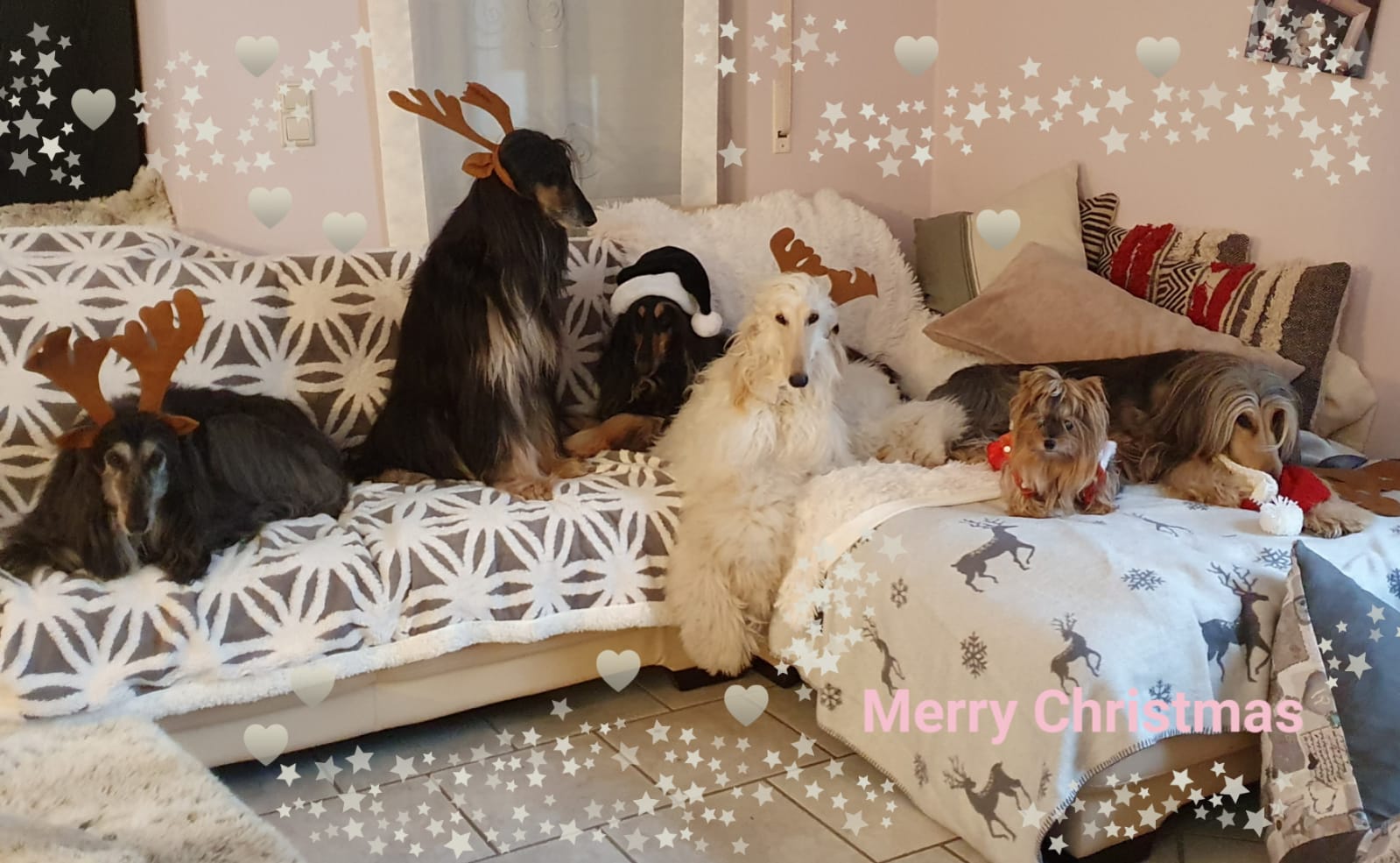 WhatsApp Image 2020 12 24 at 18.50.04