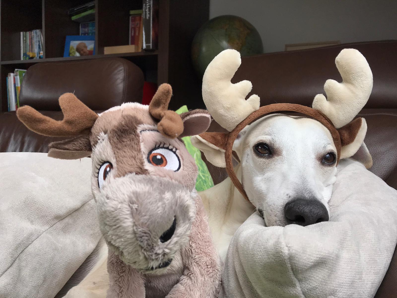 WhatsApp Image 2020 12 24 at 20.24.32