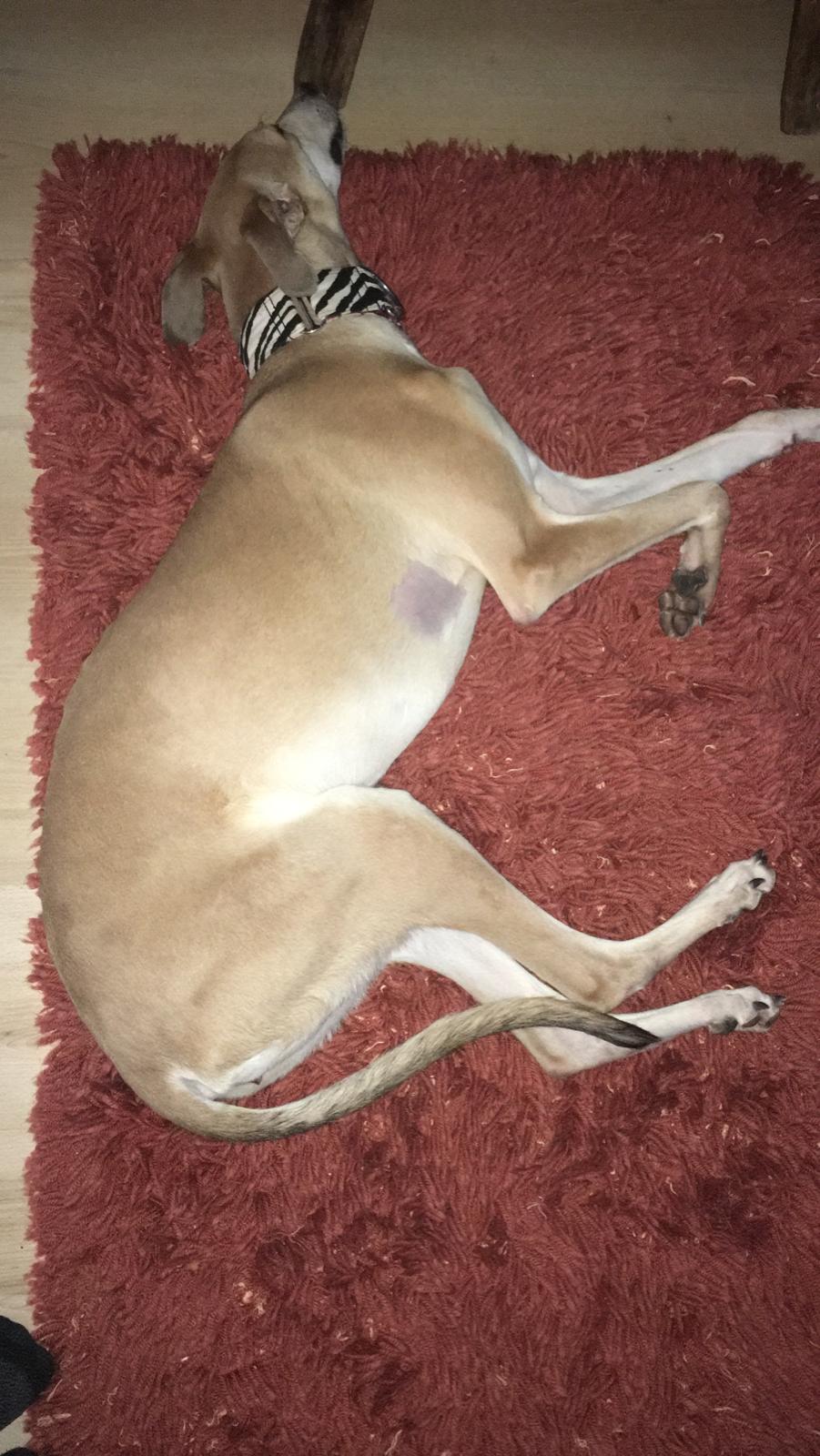 WhatsApp Image 2021 01 29 at 16.14.20