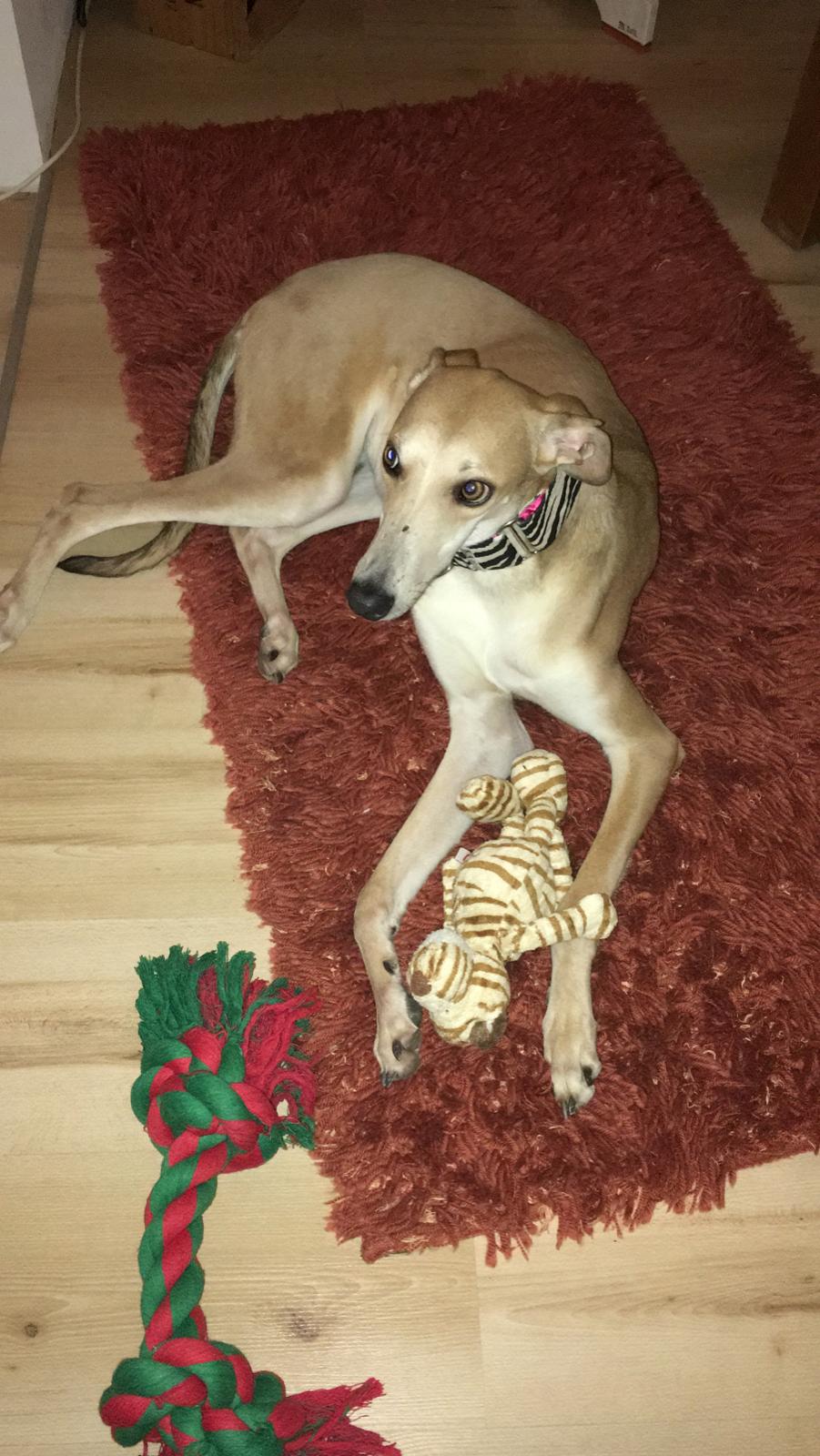 WhatsApp Image 2021 01 30 at 18.38.27