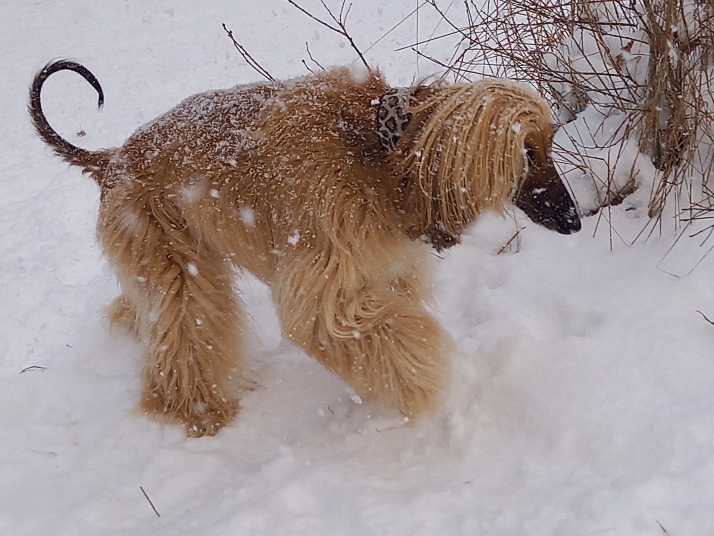 WhatsApp Image 2021 02 11 at 18.50.44