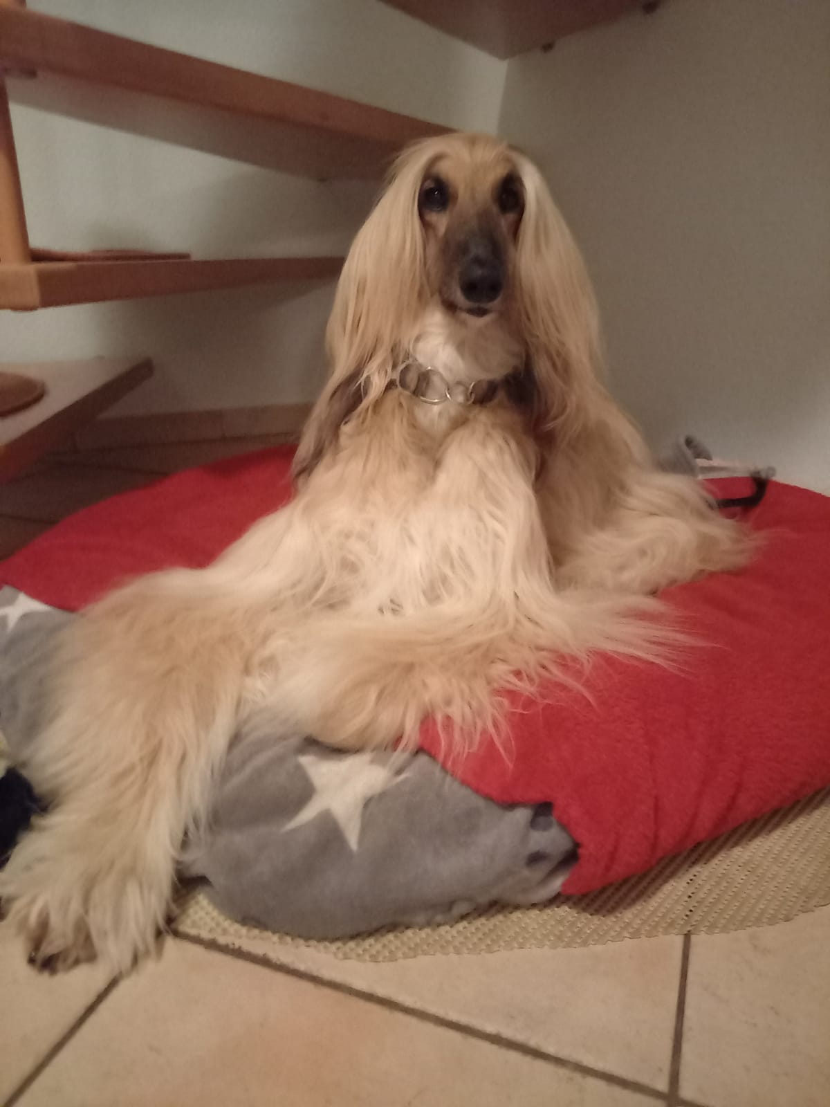 WhatsApp Image 2021 02 11 at 18.51.06