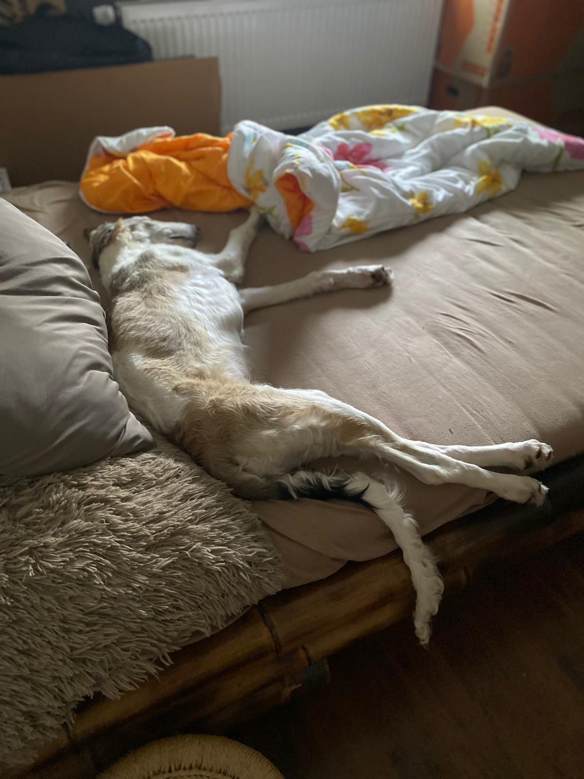 WhatsApp Image 2021 06 12 at 17.33.24