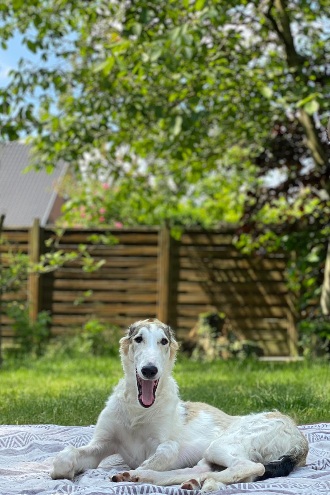 WhatsApp Image 2021 06 12 at 17.33.46