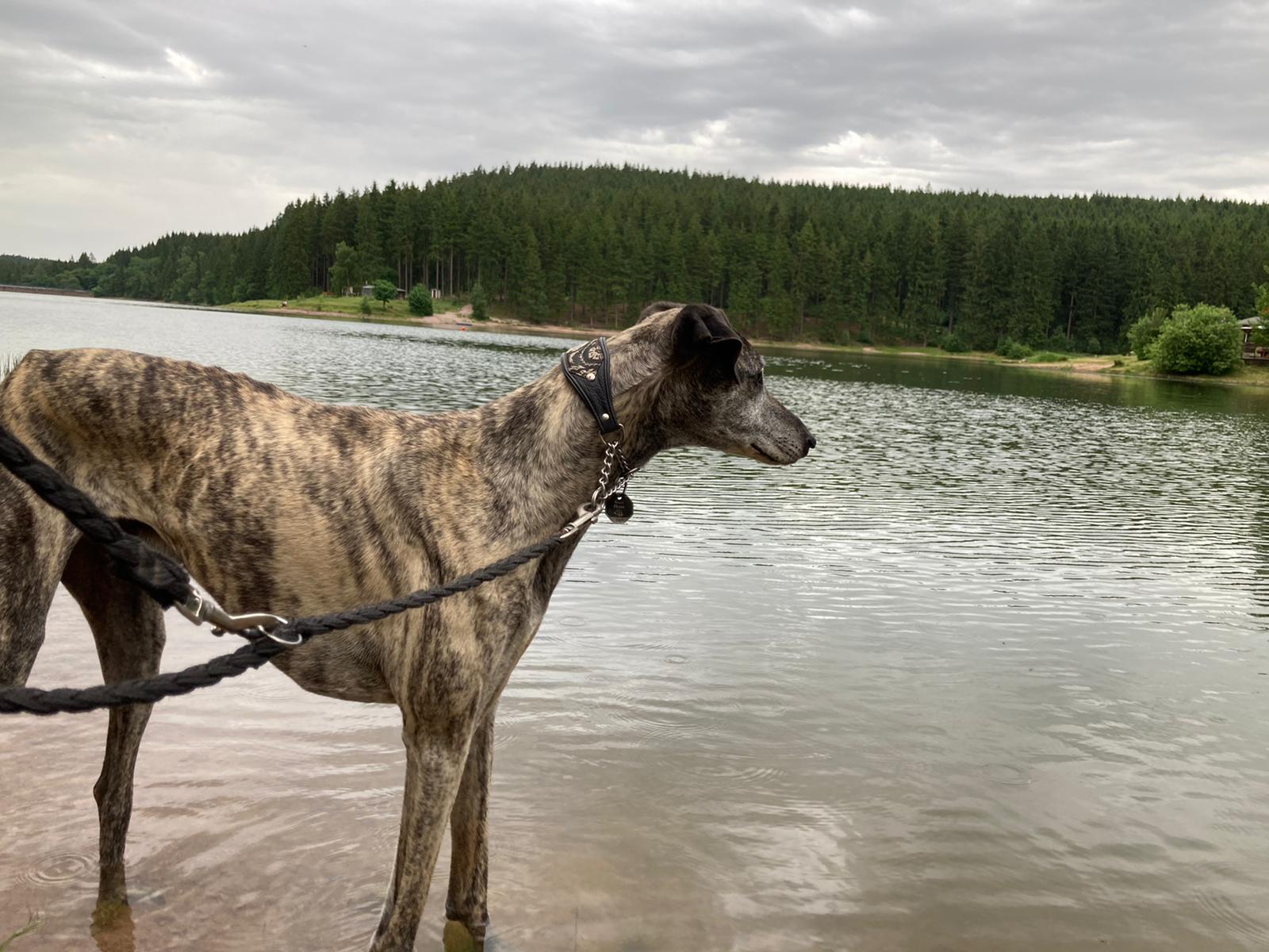 WhatsApp Image 2021 06 20 at 20.59.09