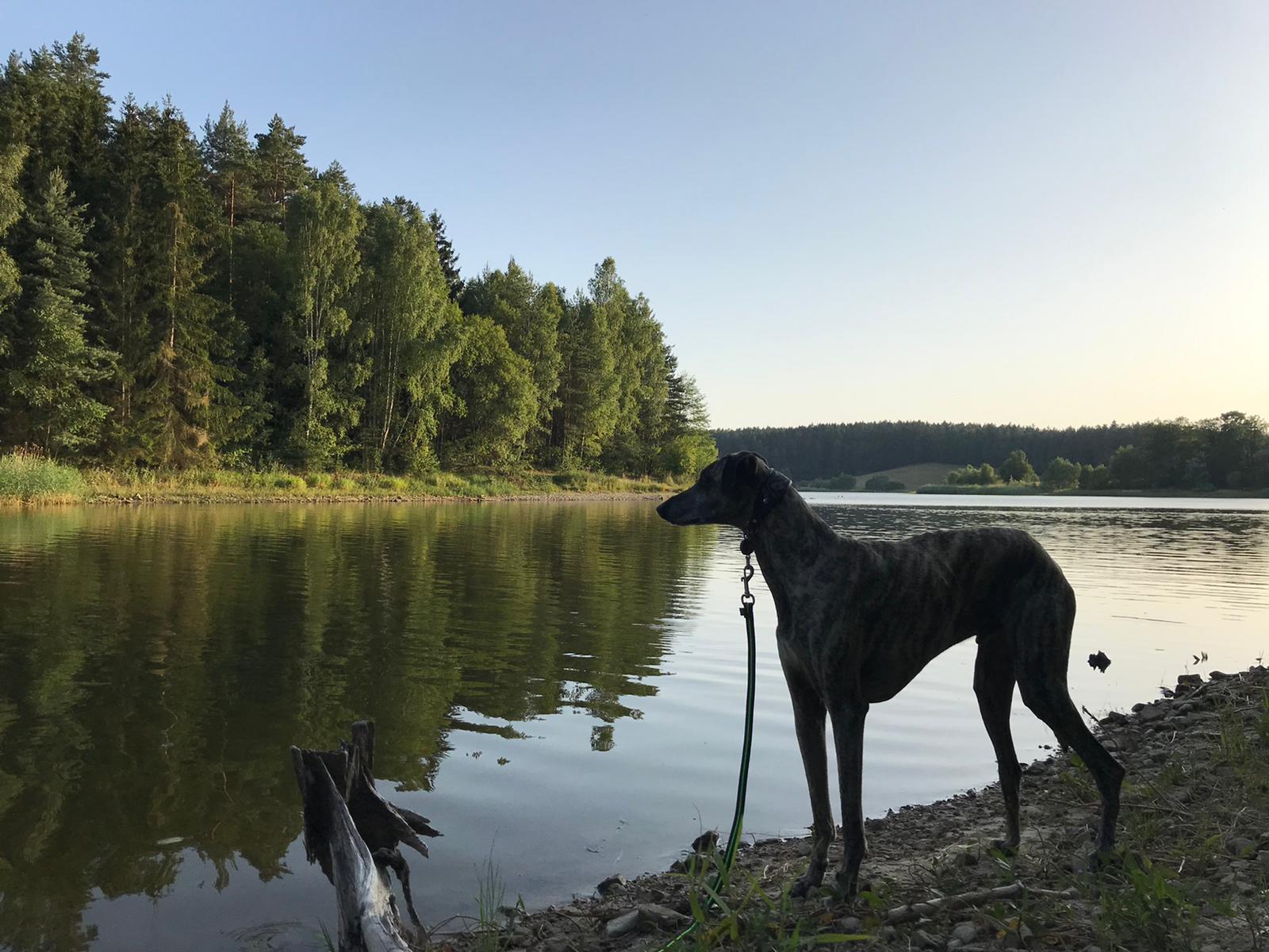 WhatsApp Image 2021 06 20 at 20.59.13 1