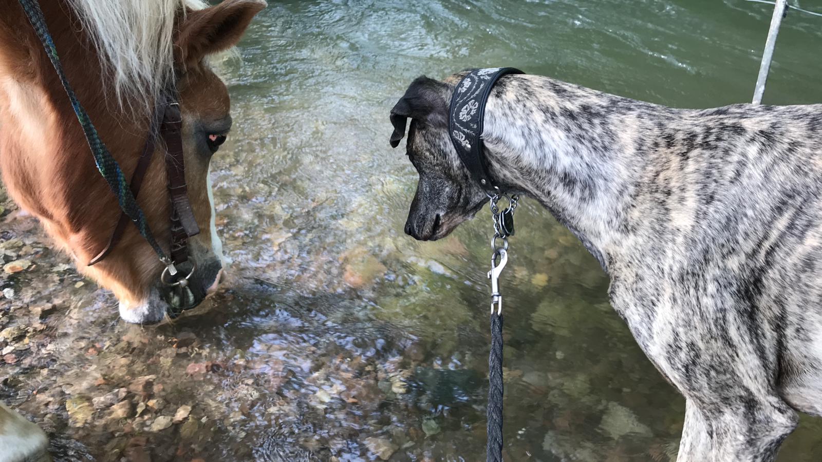 WhatsApp Image 2021 06 20 at 20.59.15 1