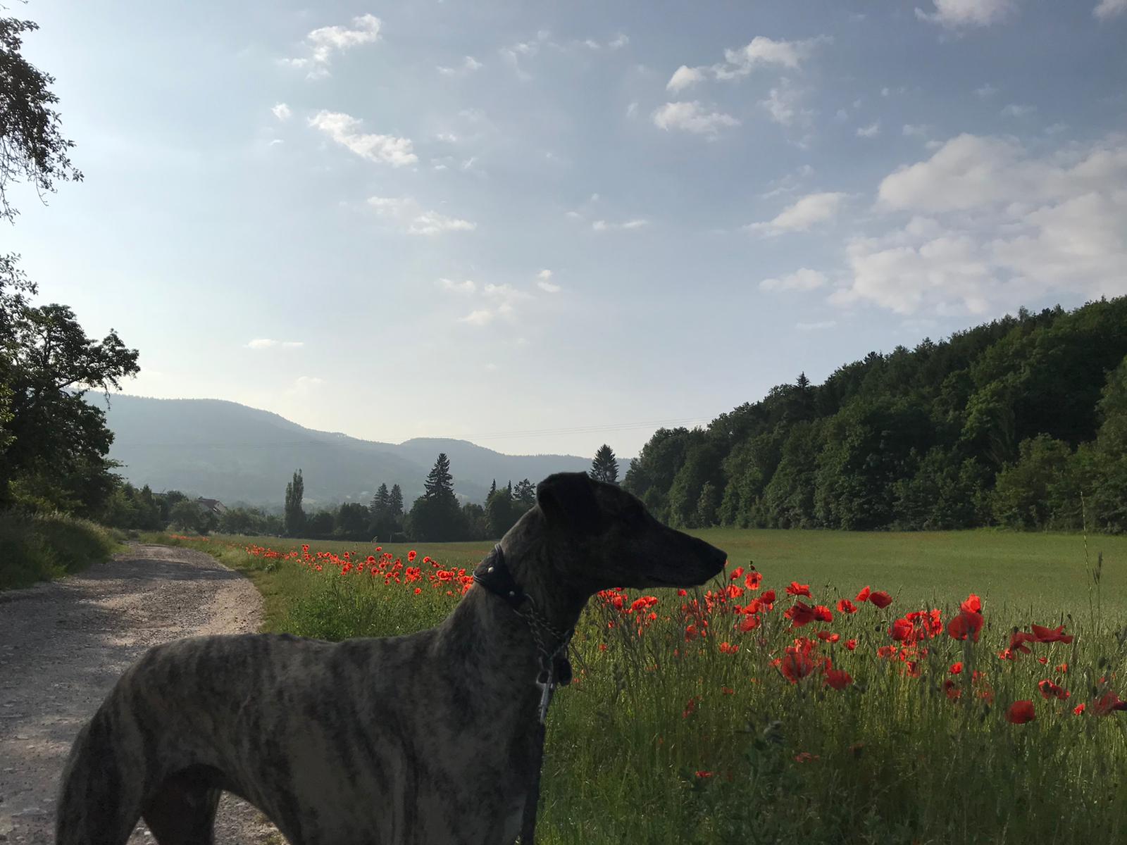 WhatsApp Image 2021 06 20 at 20.59.16