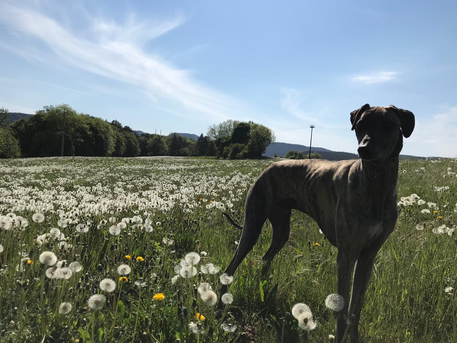 WhatsApp Image 2021 06 20 at 20.59.16 1