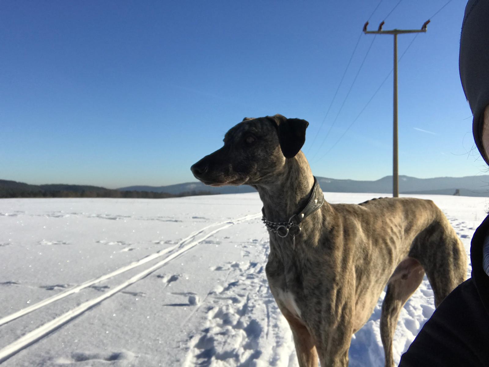 WhatsApp Image 2021 06 20 at 20.59.18 1