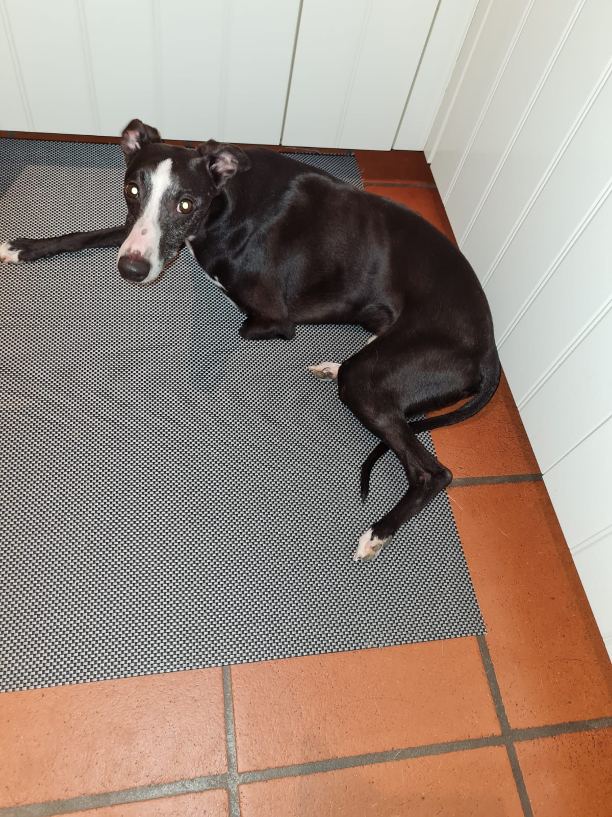 WhatsApp Image 2021 06 28 at 15.33.33 1