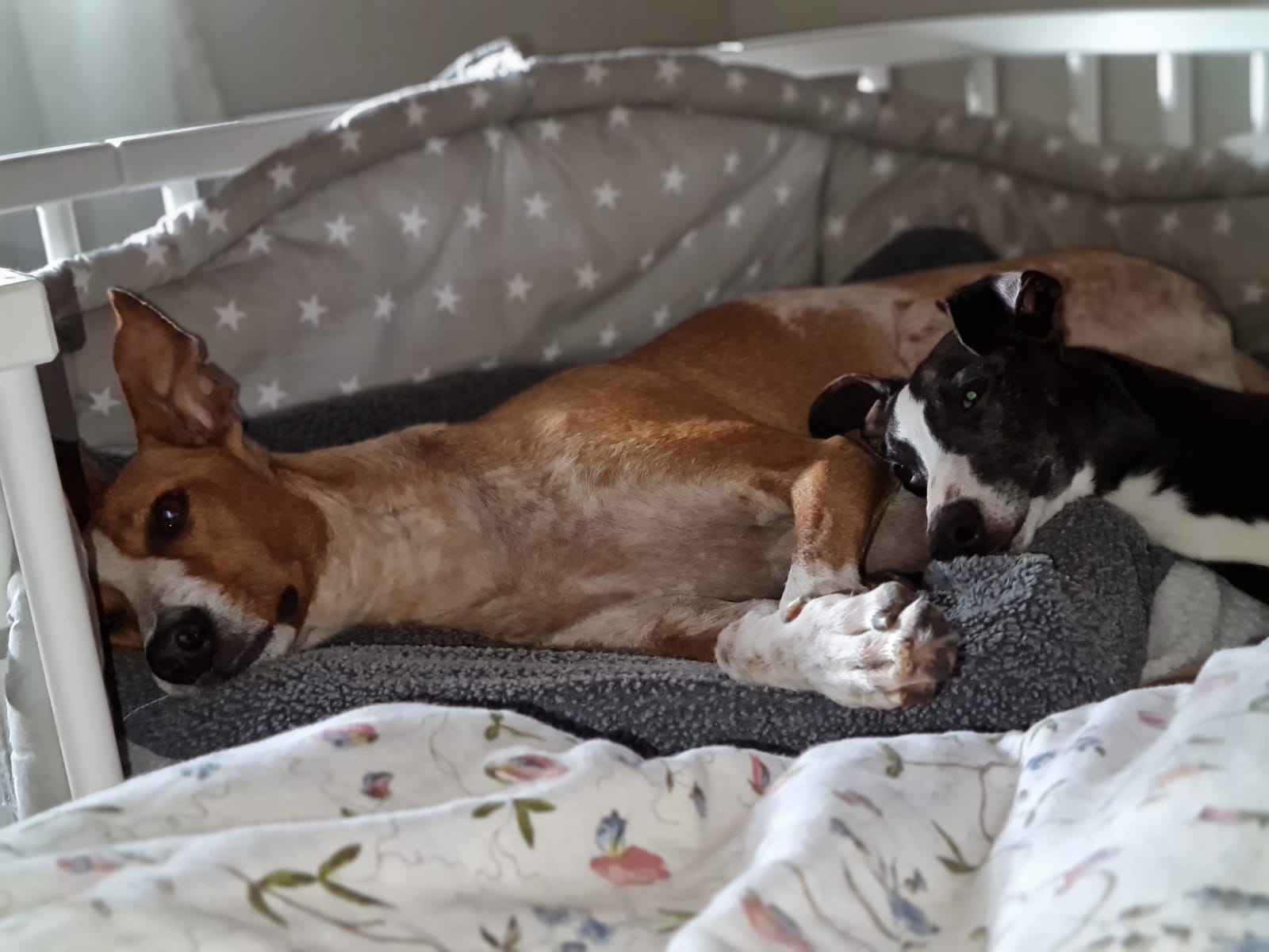 WhatsApp Image 2021 06 30 at 14.02.28