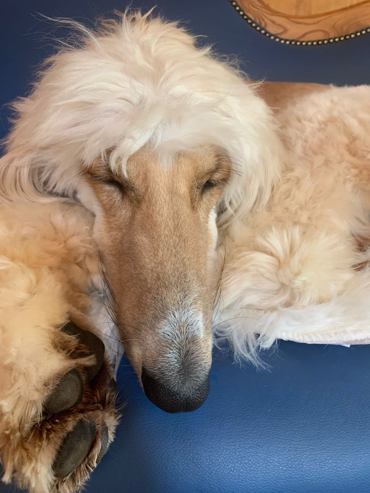 WhatsApp Image 2021 09 04 at 14.38.37