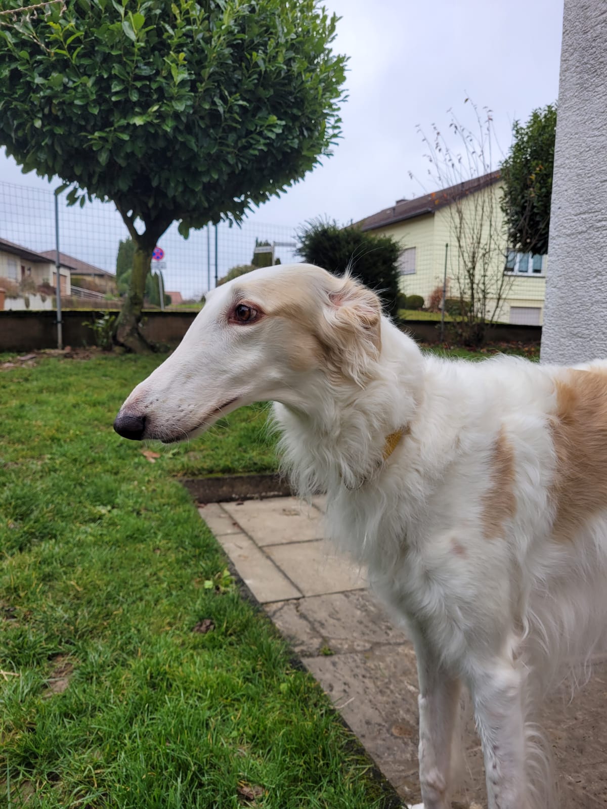 WhatsApp Image 2021 12 09 at 11.45.03 5