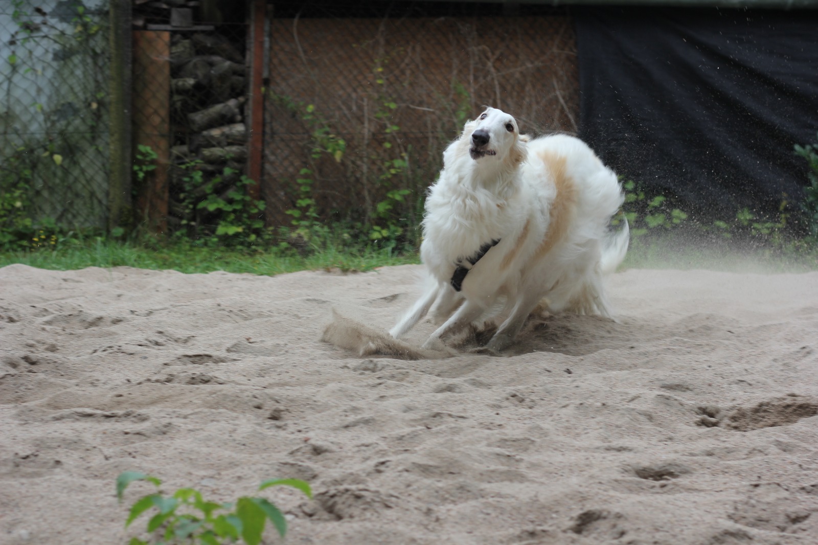 WhatsApp Image 2022 01 01 at 00.36.24