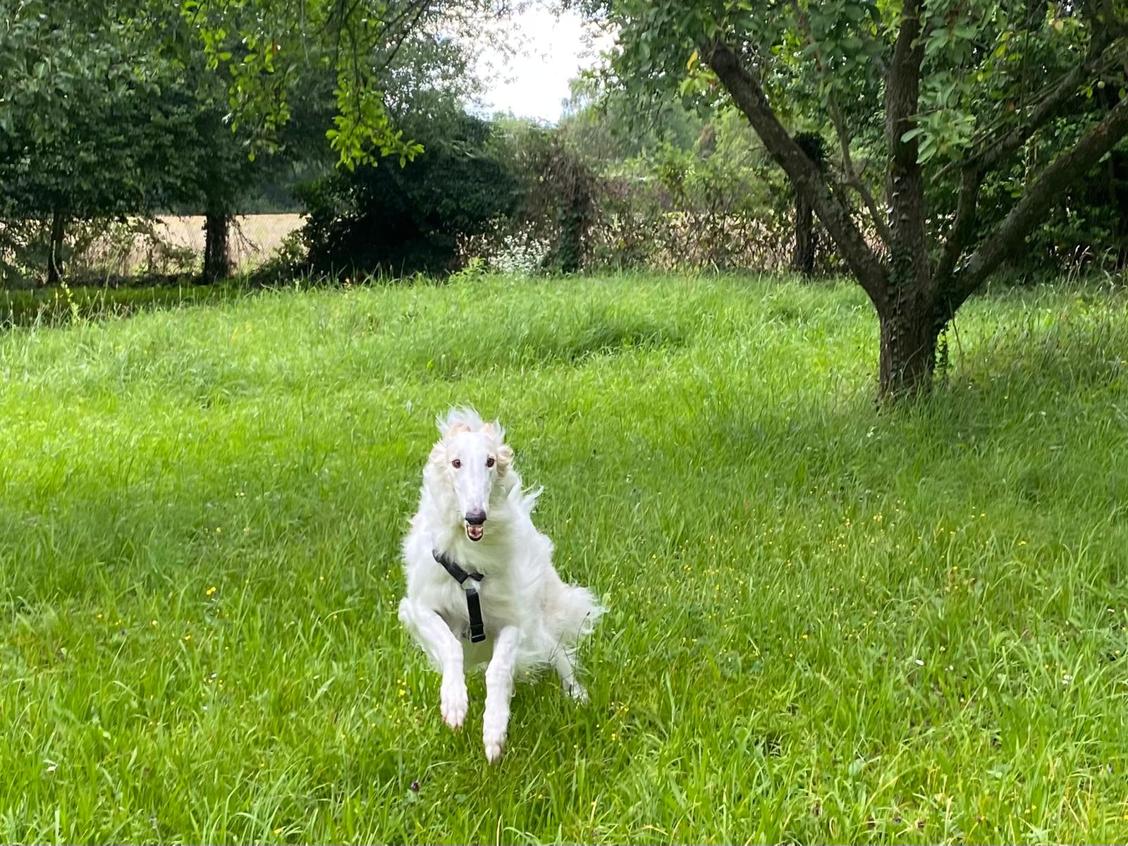 WhatsApp Image 2022 01 01 at 00.37.07