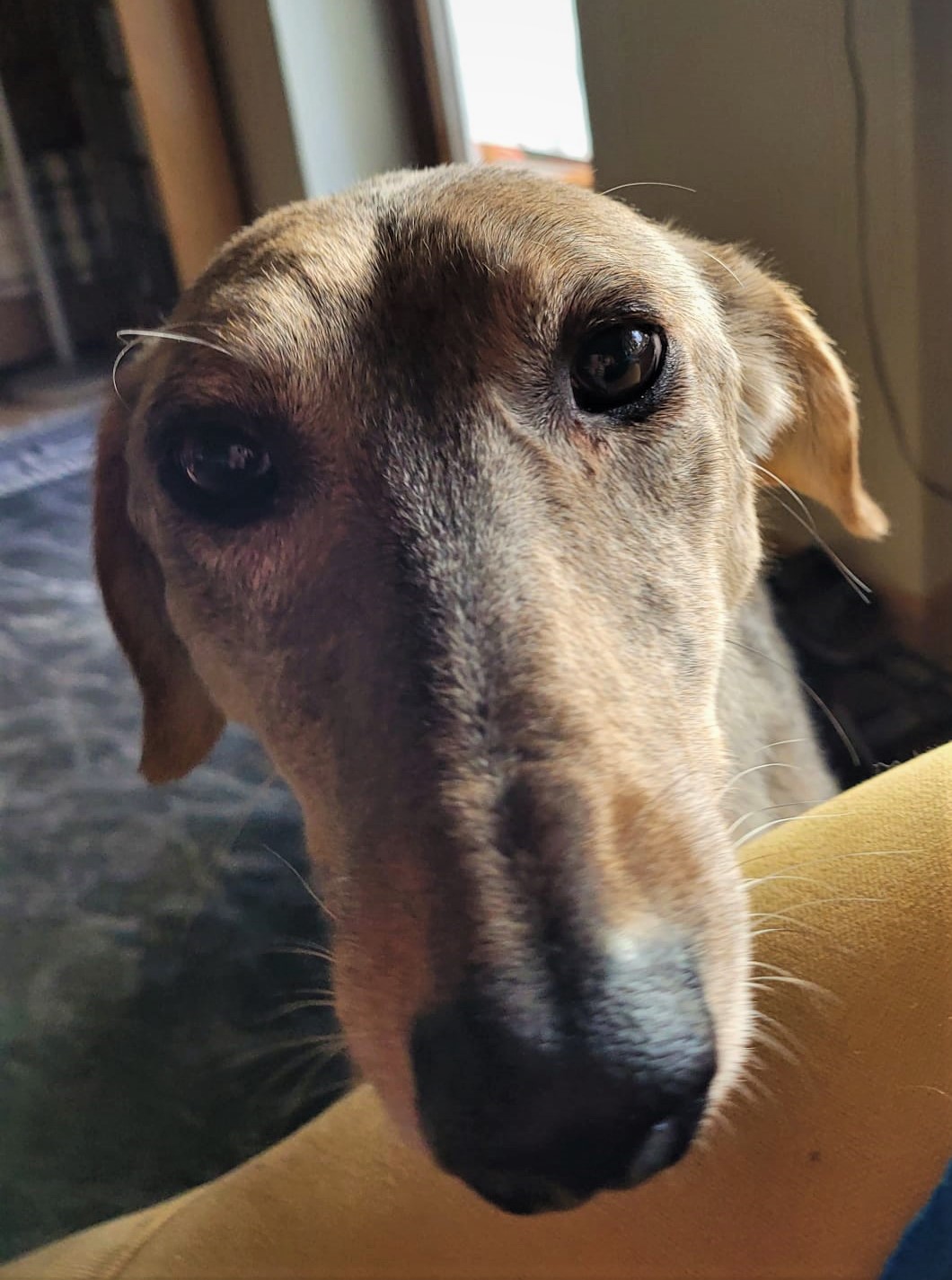 WhatsApp Image 2022 01 30 at 11.36.35