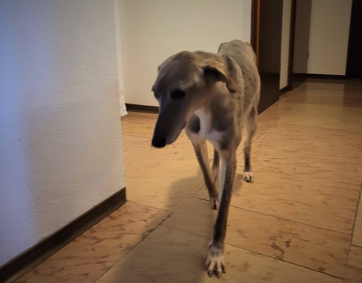 WhatsApp Image 2022 01 30 at 11.36.35 1