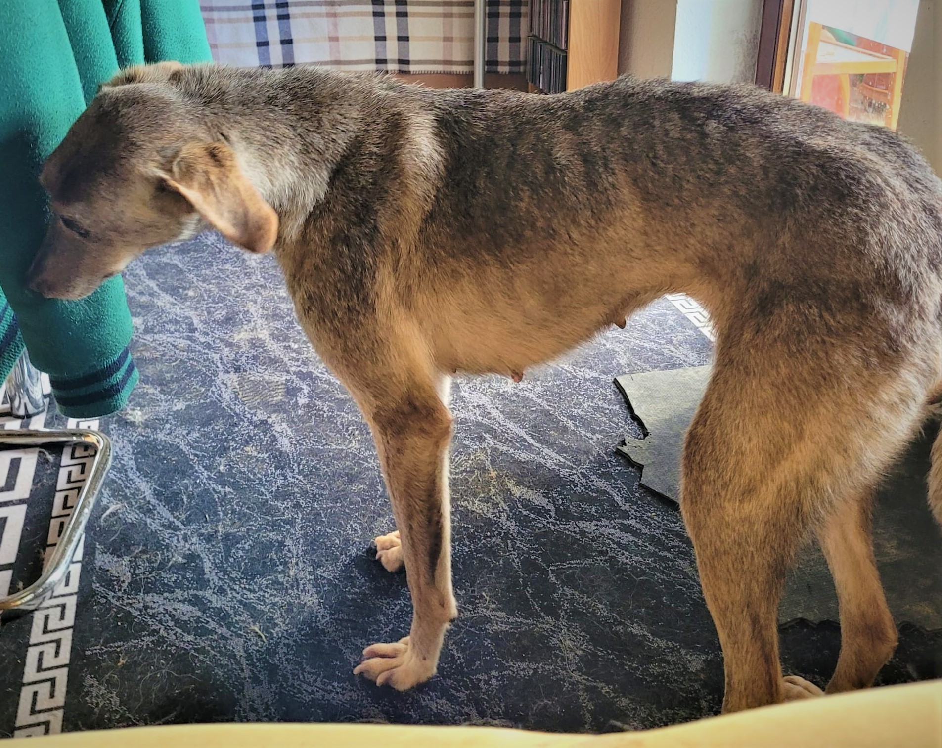 WhatsApp Image 2022 01 30 at 11.36.36