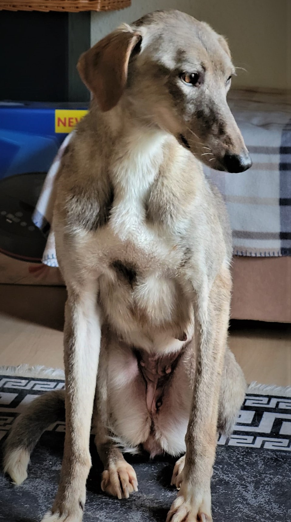 WhatsApp Image 2022 01 30 at 11.36.36 2