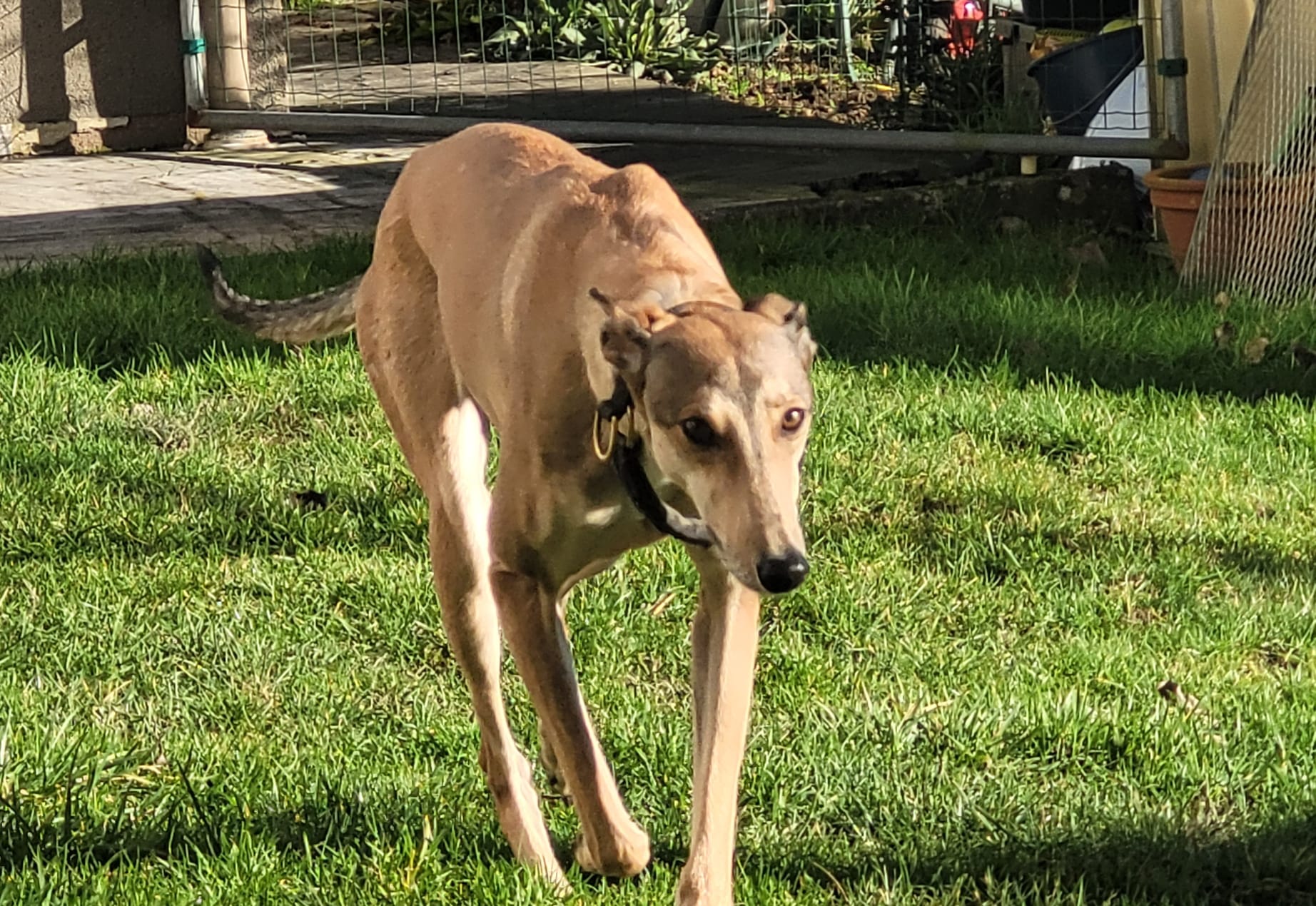 WhatsApp Image 2022 02 09 at 14.44.38 1