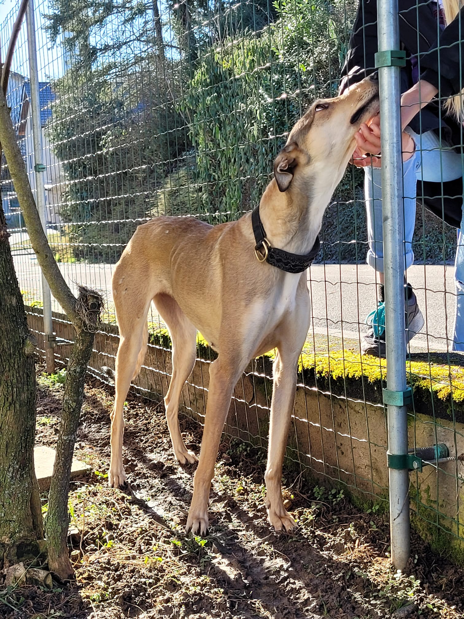 WhatsApp Image 2022 02 09 at 14.44.42