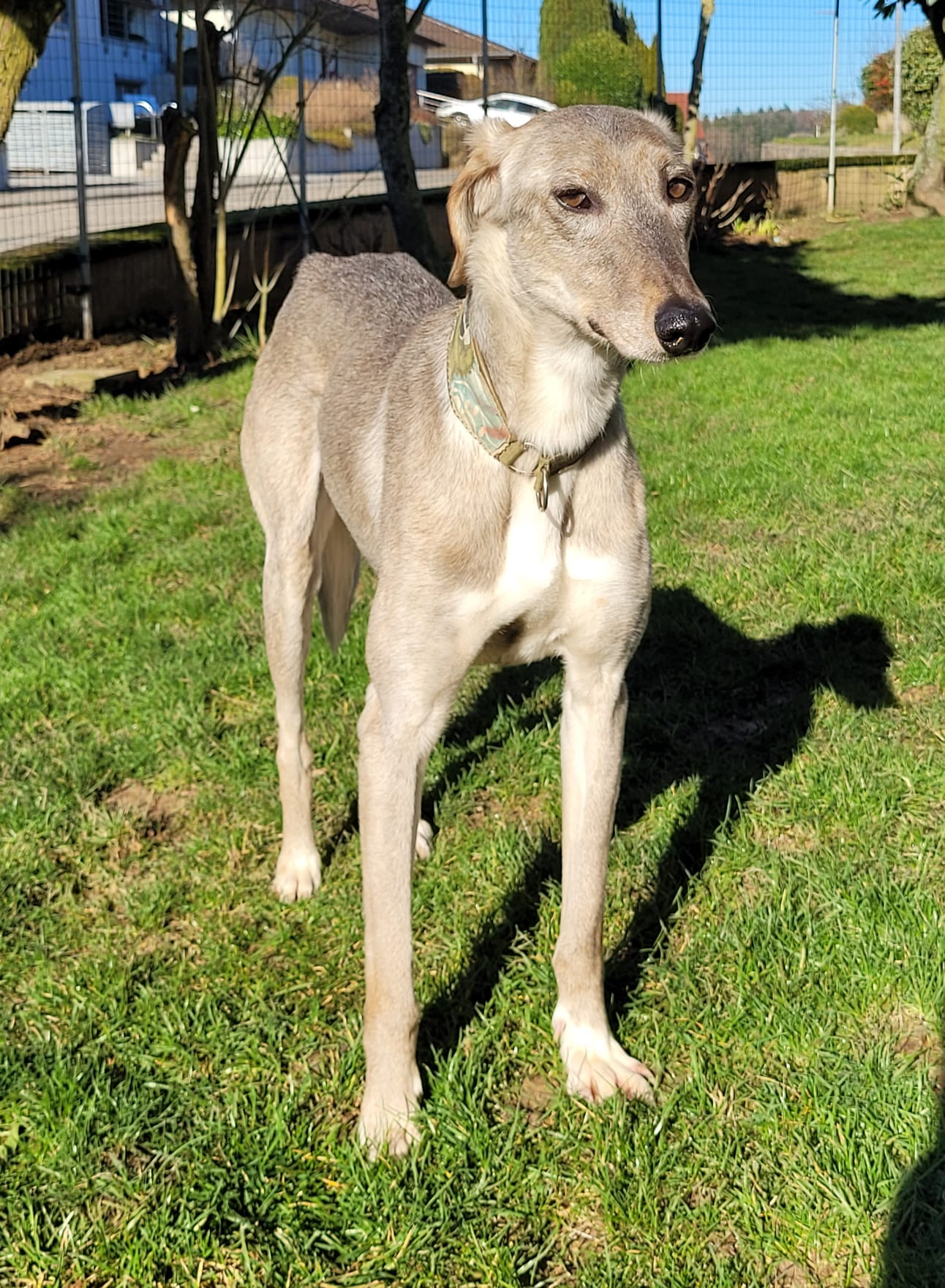 WhatsApp Image 2022 02 09 at 14.44.52