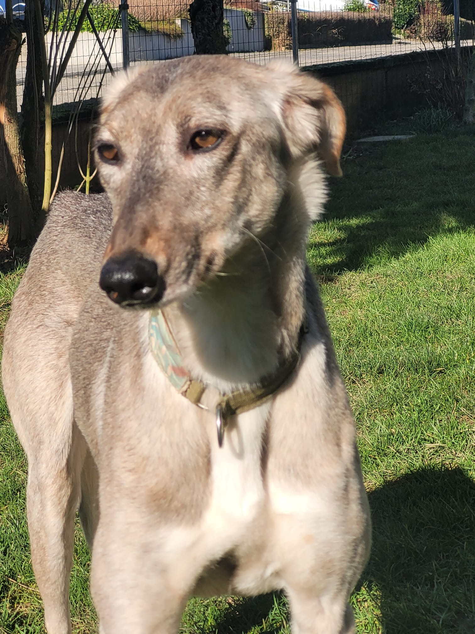 WhatsApp Image 2022 02 09 at 14.44.53